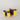 Yellow and black Racina Pinhole Cameras in both 35mm and 120 film sizes on a gray background