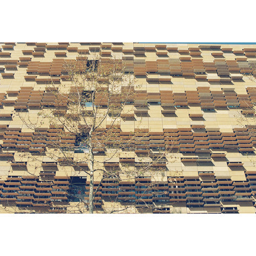 Stacks of wooden pallets arranged in a geometric pattern with a tree in the foreground.