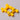 LACORSA 1961 RACECAR SET: BELGIAN YELLOW