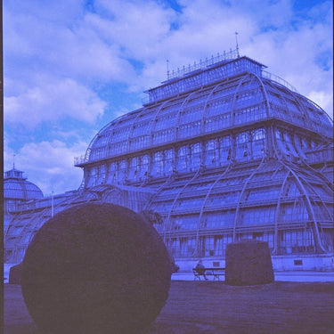 460nm Color Film ISO 200 | 120